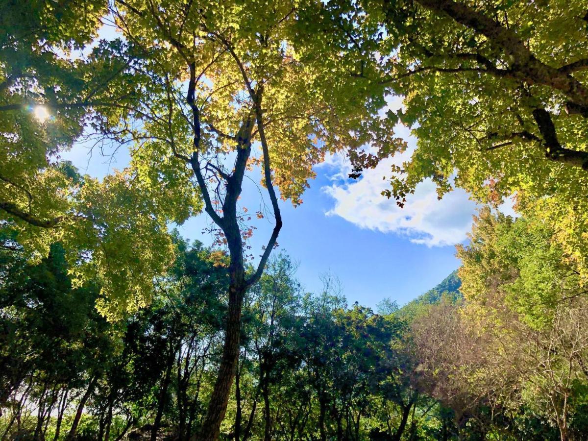 慢水山丘民宿 Slow Water Hill Yuemei Exterior foto